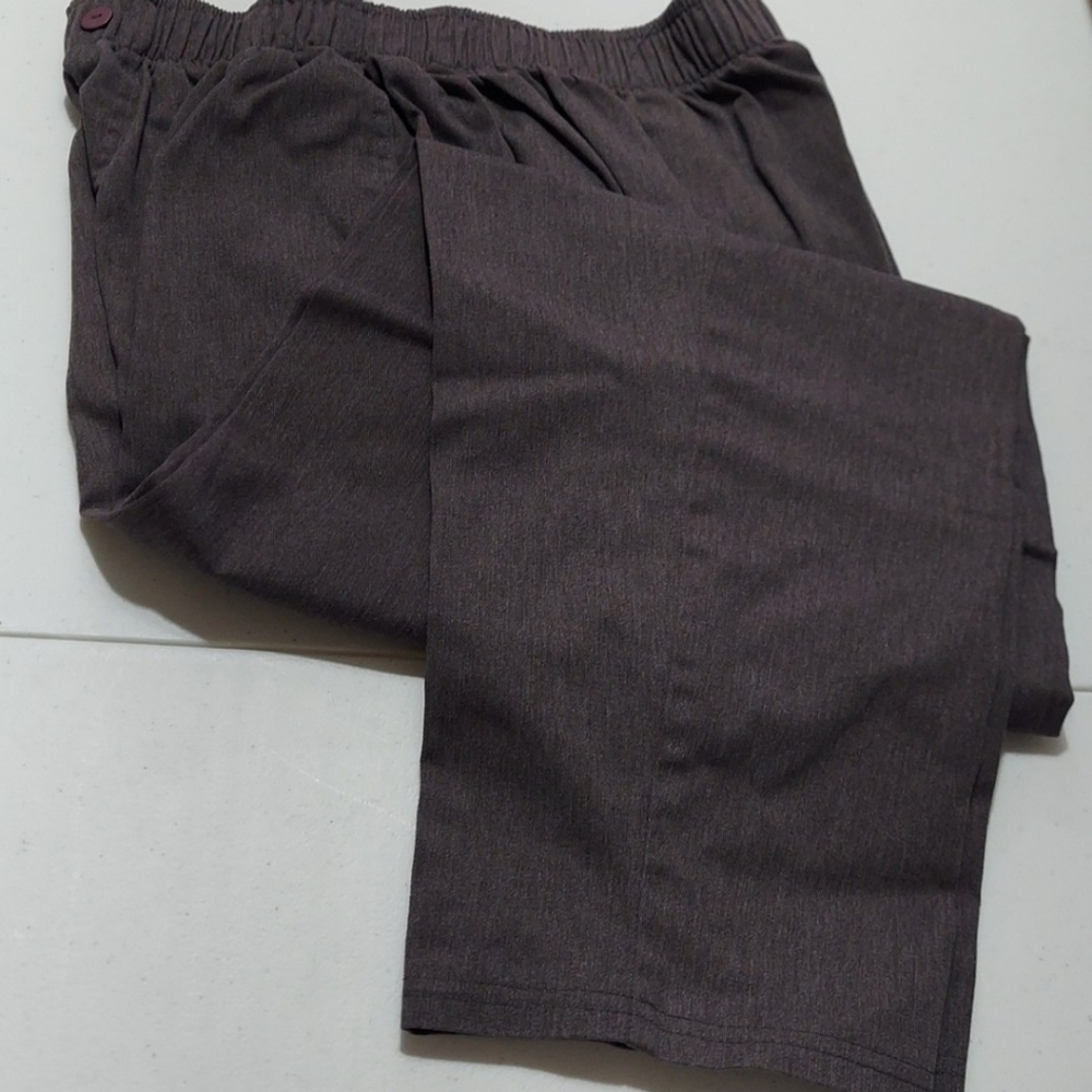 Bobby Brooks Size 16 Petite Slacks Inv159